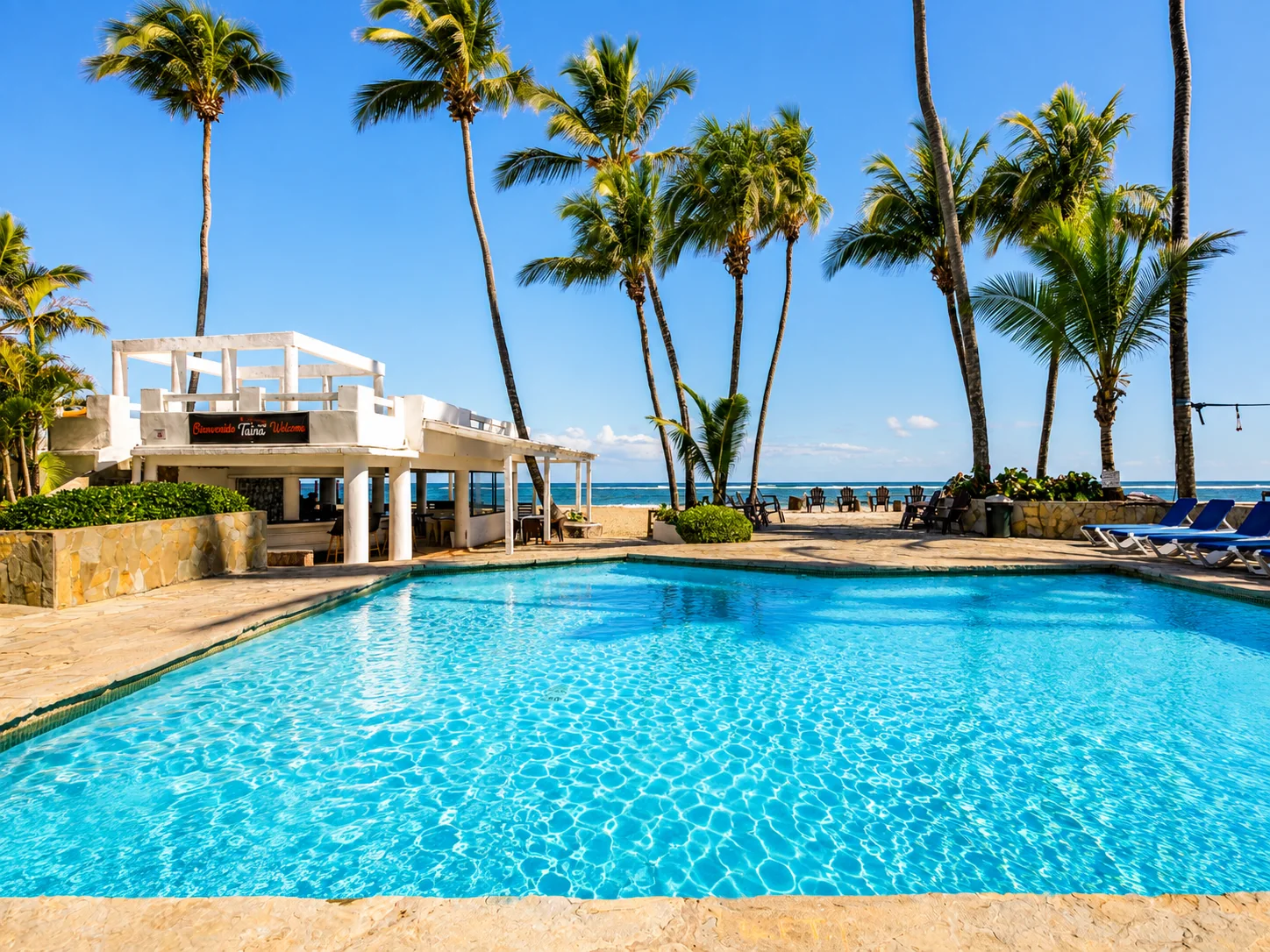 Onsite beachfront pool surrounded by palm trees