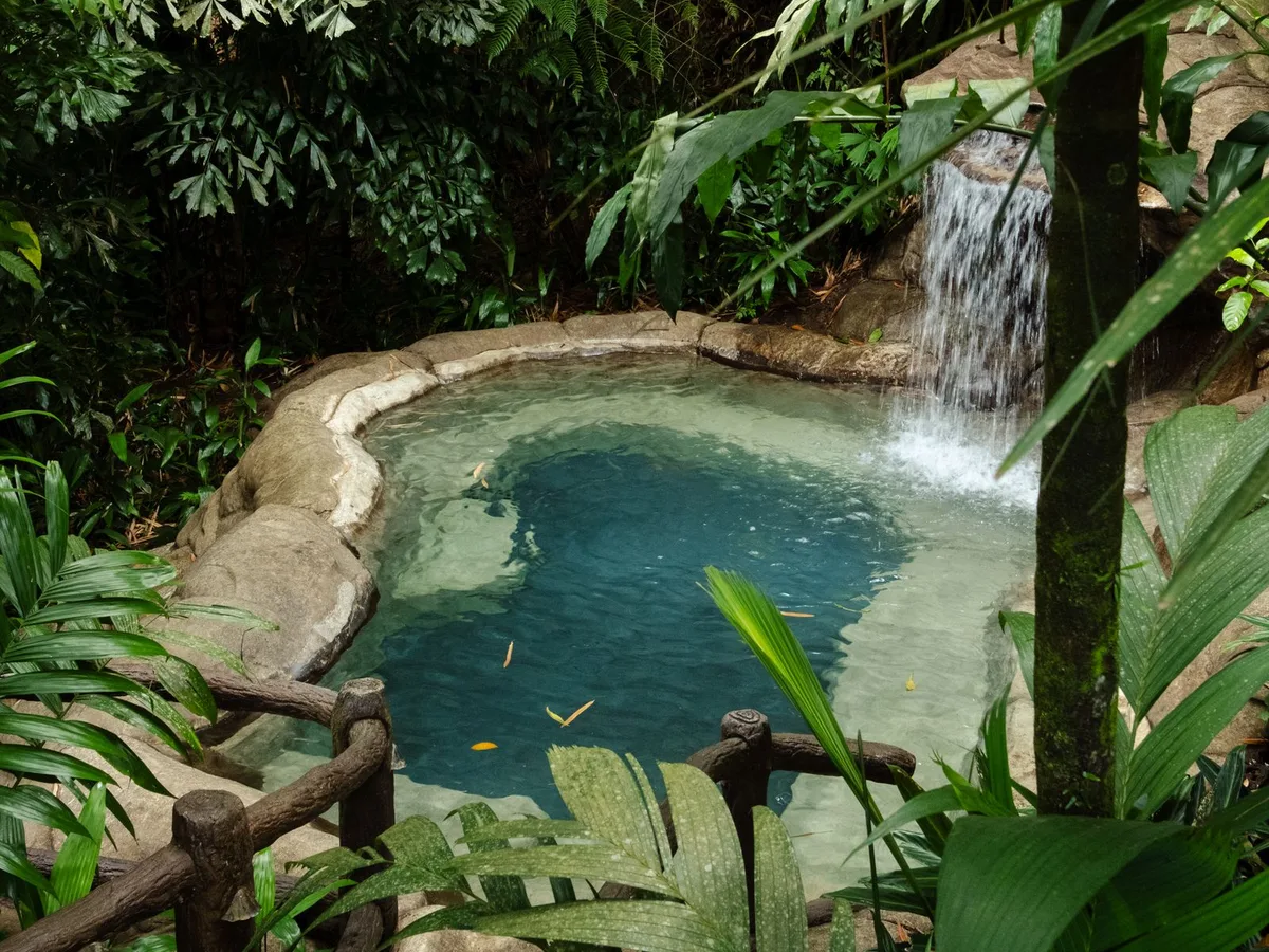Natural pool surrounded by tropical jungle foliage, a generic photo representing El Choco National Park