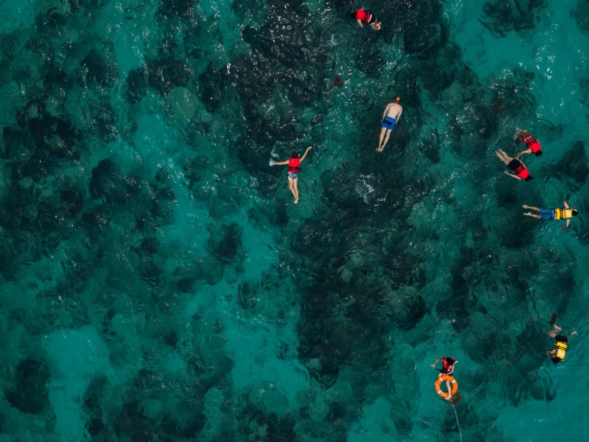 Aerial view of snorkellers swimming over a reef in clear turquoise water, a generic photo representing Sosúa Beach